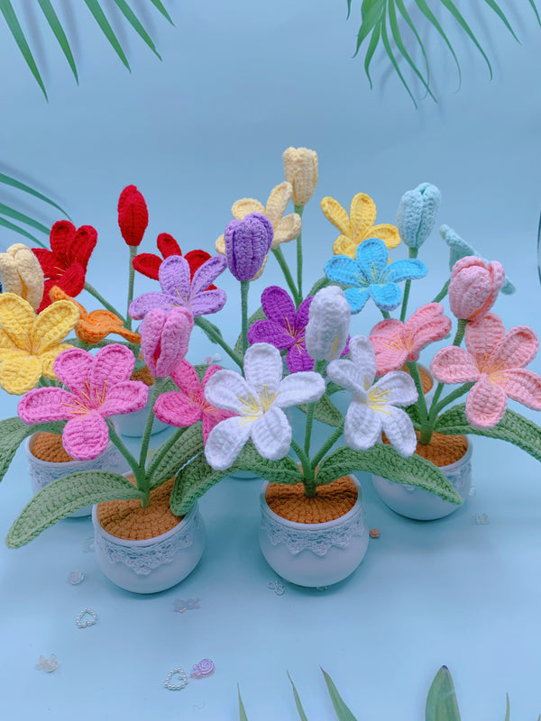 Handcrafted Crochet Plumeria rubra Mini Potted Plant - Charming Home Decor